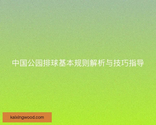 中国公园排球基本规则解析与技巧指导