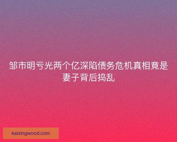 邹市明亏光两个亿深陷债务危机真相竟是妻子背后捣乱